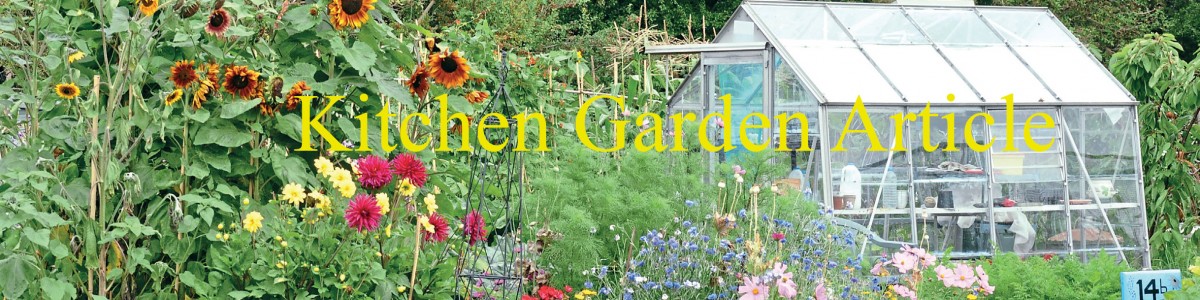kitchen-garden-header kitchen-garden-header